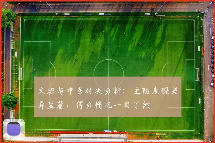 文班与申京对决分析：主防表现差异显著，得分情况一目了然