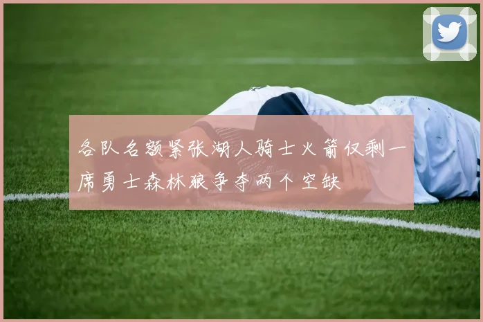 各队名额紧张湖人骑士火箭仅剩一席勇士森林狼争夺两个空缺